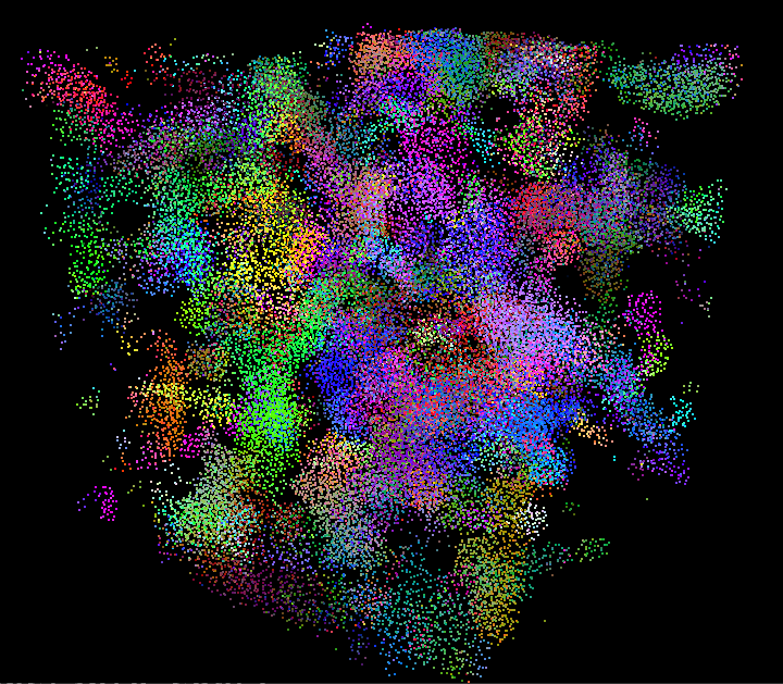 CUDA Boids simulation
